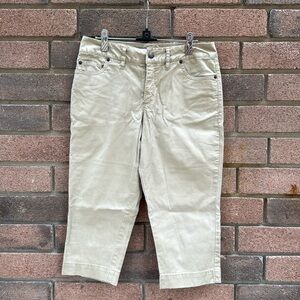 Caribbean Joe Brown Knee Length Shorts Size 6 Petite